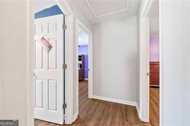 hallway featuring hardwood / wood-style floors