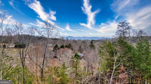 property view of mountains