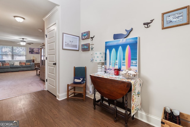 interior space with dark hardwood / wood-style flooring