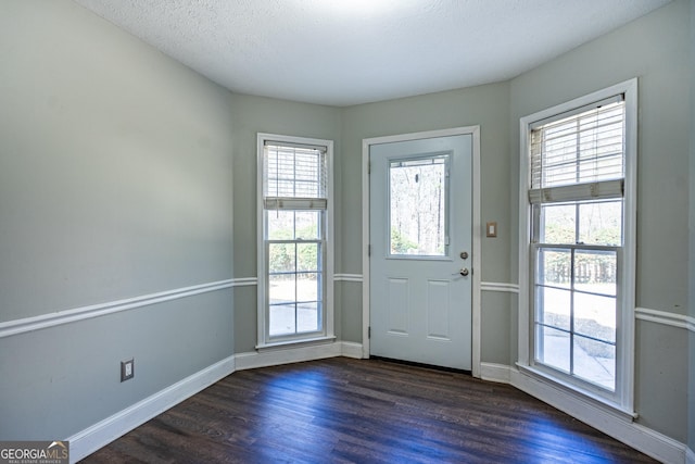 entryway with dark hardwood / wood-style floors, a textured ceiling, and a wealth of natural light