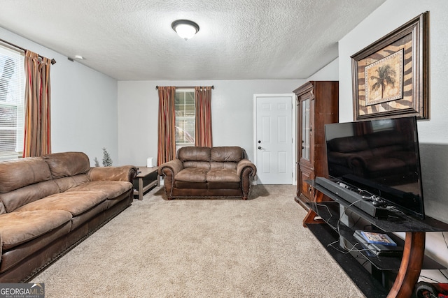 carpeted living room with a healthy amount of sunlight and a textured ceiling