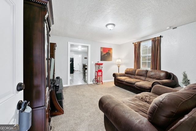 carpeted living room with a textured ceiling