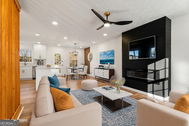 living room with ceiling fan, a textured ceiling, and light hardwood / wood-style flooring