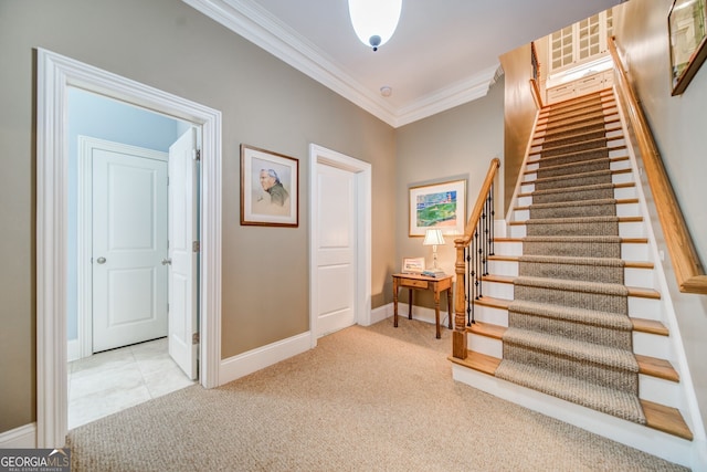 staircase with crown molding and carpet