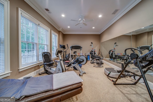 workout room featuring crown molding, carpet floors, and ceiling fan