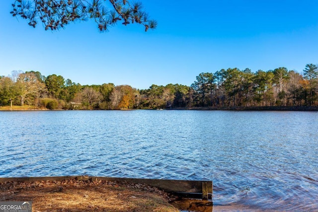 property view of water with a forest view