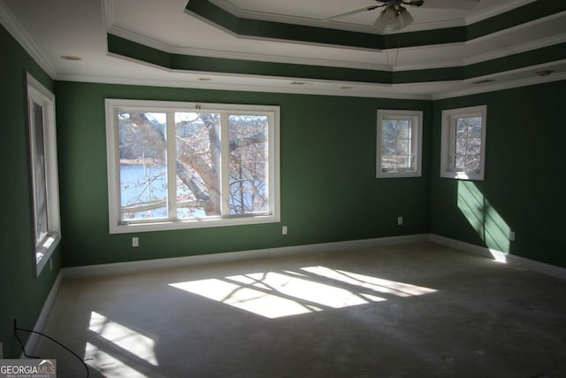 spare room with carpet, a raised ceiling, and baseboards