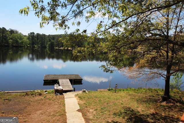 dock area with a water view