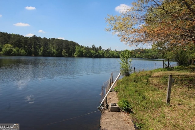 view of water feature featuring a view of trees