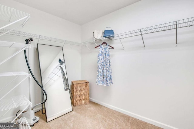 spacious closet with carpet