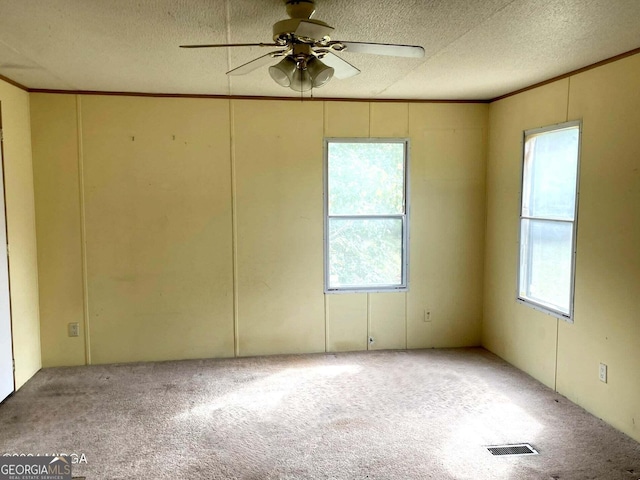 carpeted spare room featuring ornamental molding, ceiling fan, and a textured ceiling