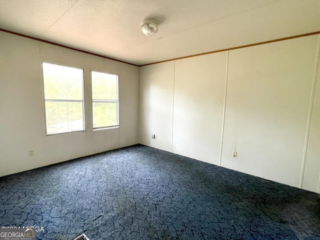 spare room with carpet and a textured ceiling