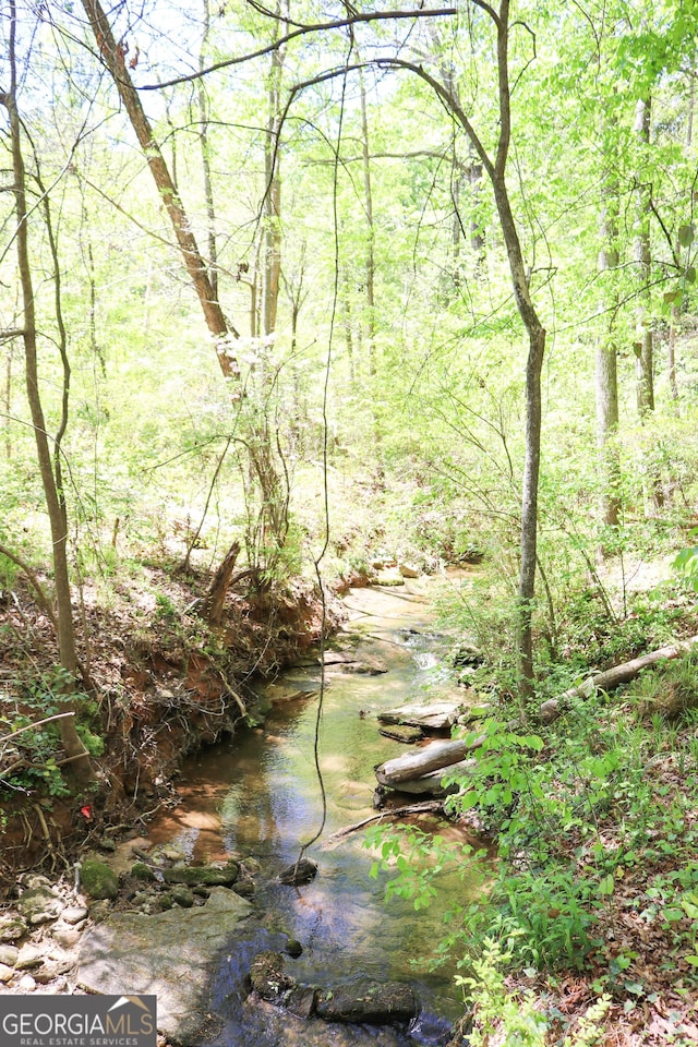 view of local wilderness featuring a forest view
