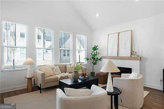 living room with dark hardwood / wood-style floors and high vaulted ceiling