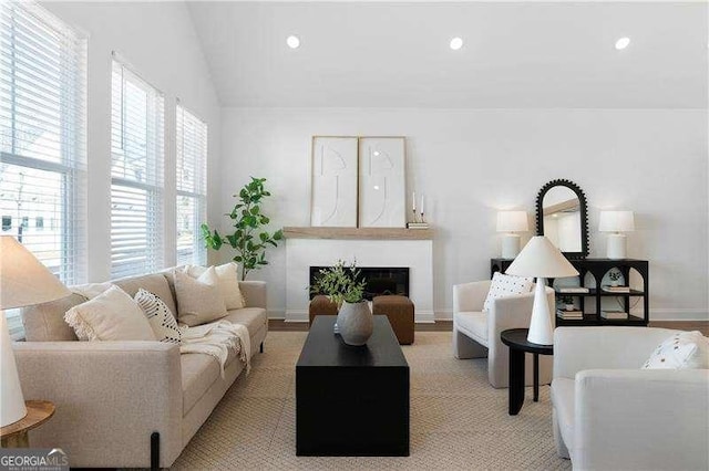 living room featuring lofted ceiling and light hardwood / wood-style flooring