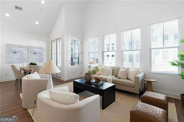 living room with hardwood / wood-style flooring and high vaulted ceiling