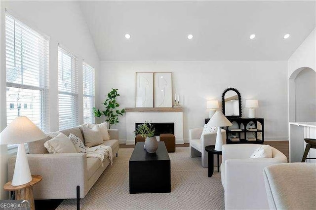 living room with lofted ceiling and light wood-type flooring