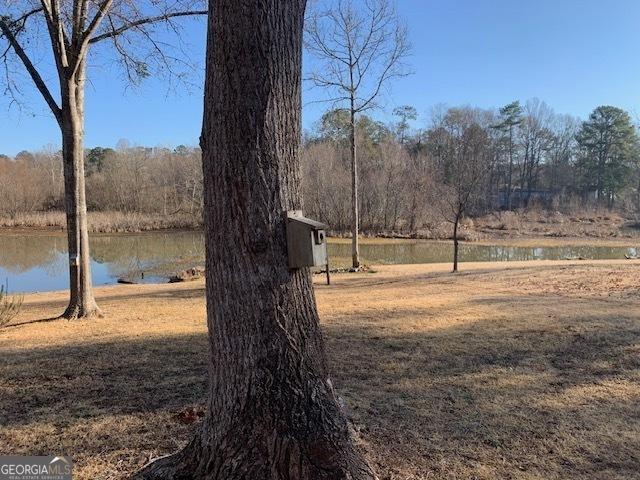 view of yard with a water view