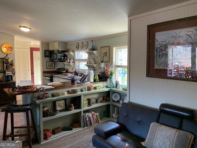 living room featuring sink and light wood-type flooring