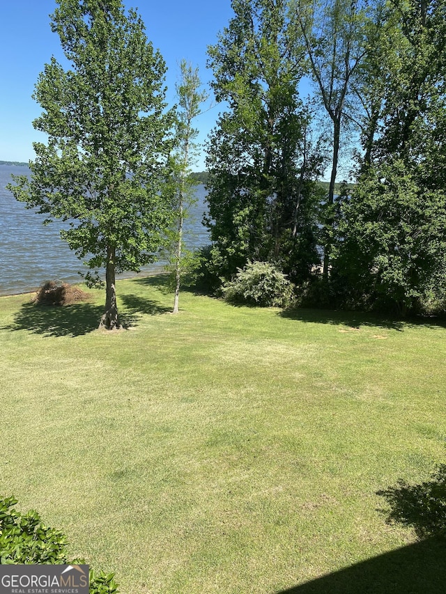 view of yard with a water view