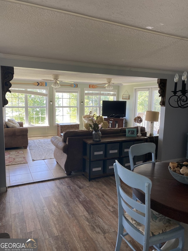 interior space featuring a wealth of natural light, wood finished floors, and ceiling fan