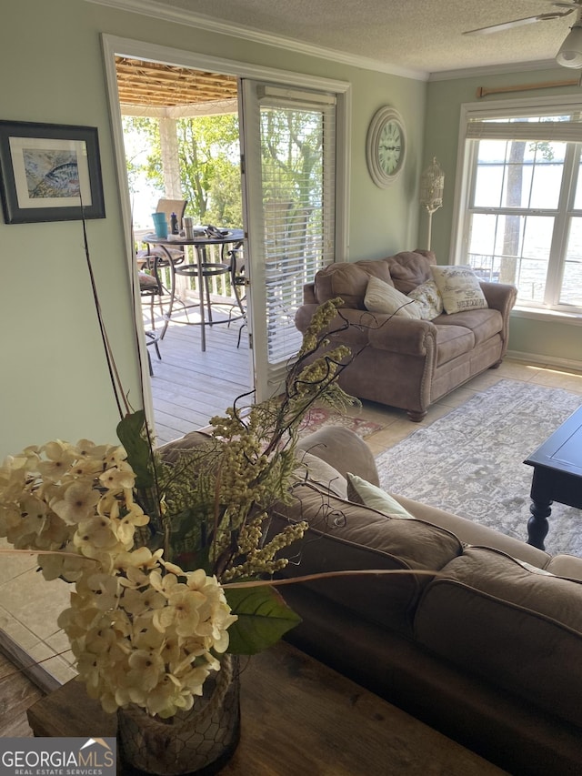 living room featuring ceiling fan, crown molding, and a textured ceiling