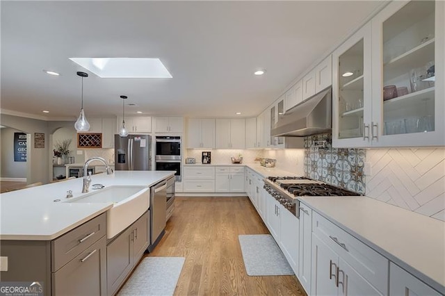 kitchen featuring sink, stainless steel appliances, ventilation hood, an island with sink, and white cabinets