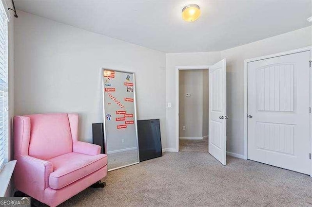 sitting room with light carpet