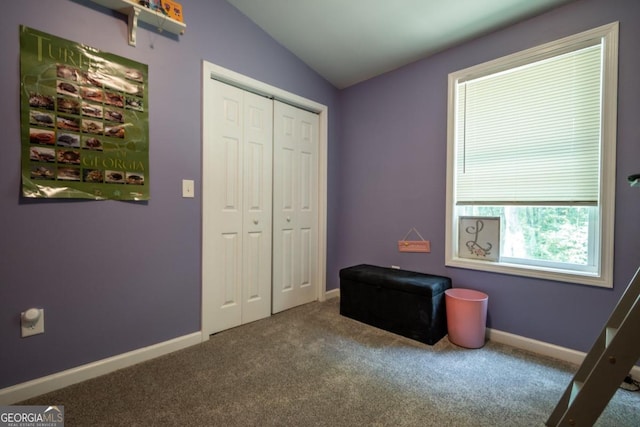 carpeted bedroom with lofted ceiling and a closet