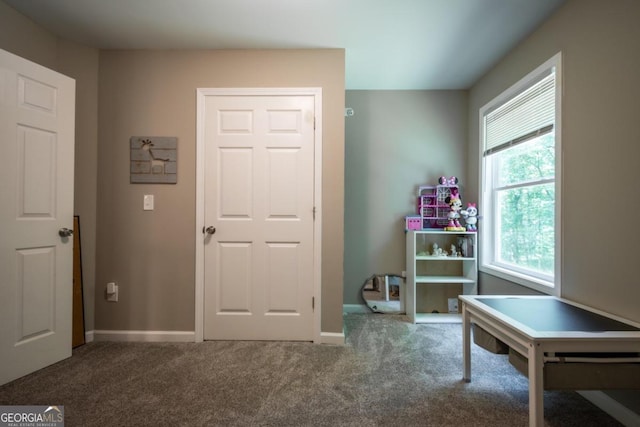 recreation room featuring carpet floors