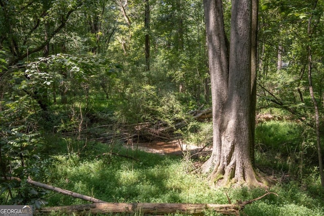 view of nature