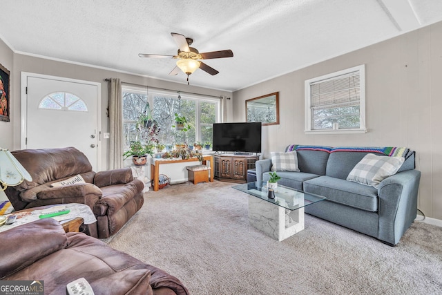 carpeted living room with ceiling fan, ornamental molding, and a textured ceiling