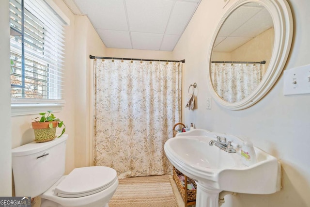 bathroom with sink, a drop ceiling, and toilet