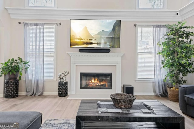 living room featuring hardwood / wood-style flooring and a wealth of natural light