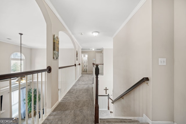 hall with carpet floors and ornamental molding