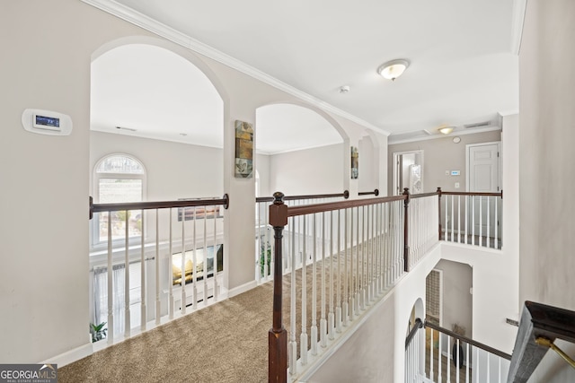 corridor featuring crown molding and carpet floors