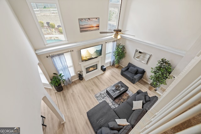 living room with wood-type flooring, a healthy amount of sunlight, and a towering ceiling