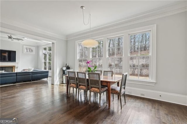 dining room featuring crown molding, ceiling fan, and dark hardwood / wood-style flooring