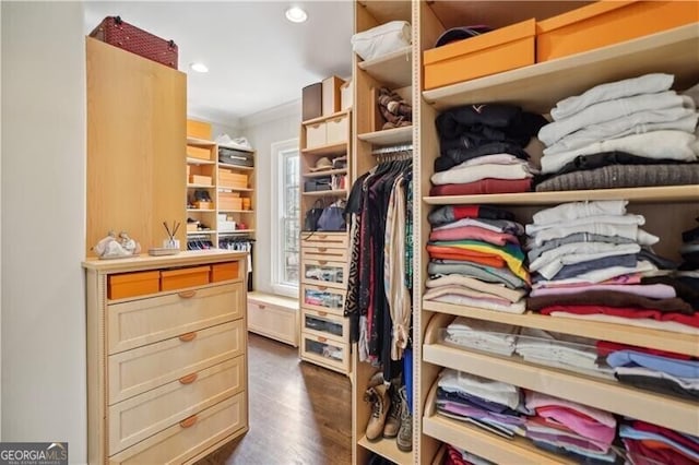 spacious closet with dark hardwood / wood-style floors