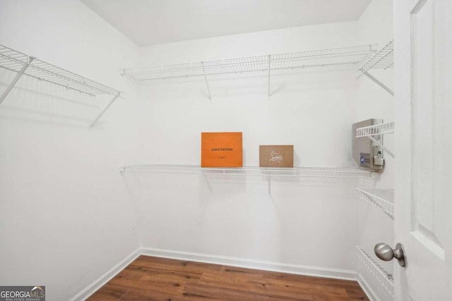 spacious closet featuring hardwood / wood-style floors