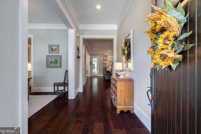 interior space featuring crown molding and dark hardwood / wood-style floors