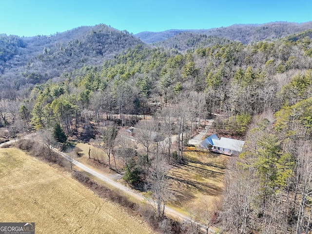 property view of mountains