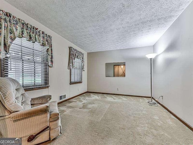 sitting room featuring carpet flooring and a textured ceiling