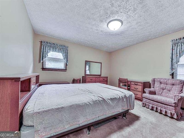 bedroom featuring carpet floors and a textured ceiling