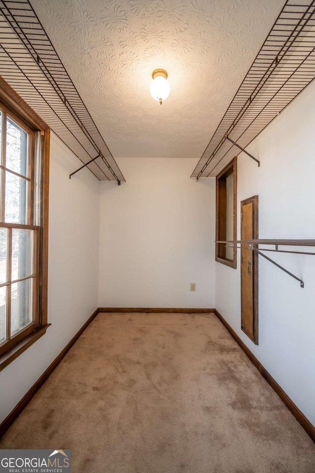 spacious closet featuring carpet floors