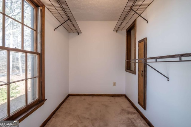 walk in closet featuring light carpet