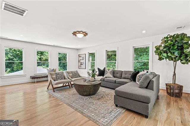 living room with a wealth of natural light and light hardwood / wood-style floors