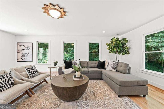 living room with light wood-type flooring