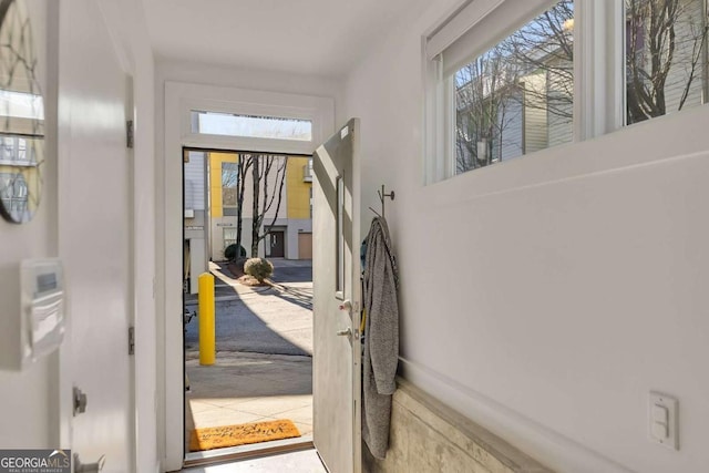 foyer featuring a wealth of natural light