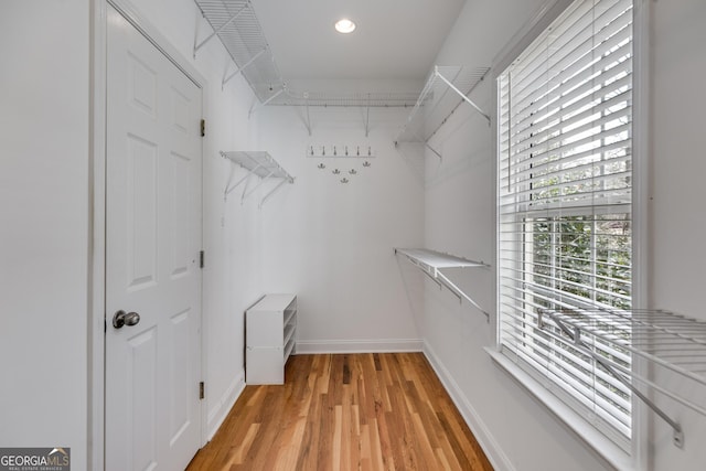 spacious closet featuring light wood-type flooring